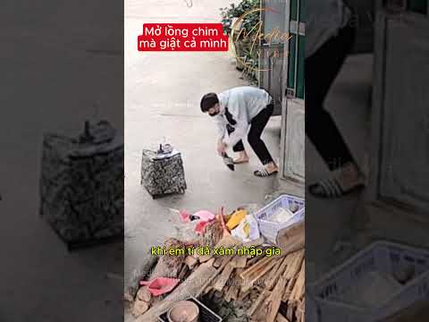 Mở lồng chim mà giật cả mình