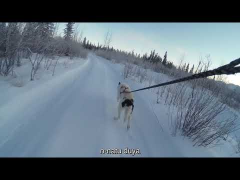 Äyedindaya (Margaret) Workman - Äshèyi k’e (Aishihik Long Ago Way)