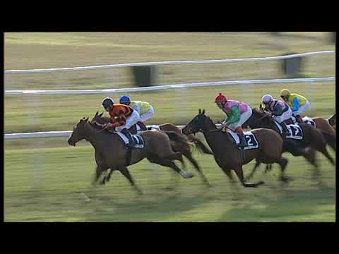 2020-01-30 Corsa 3 Metri 1500 Premio Navicelli