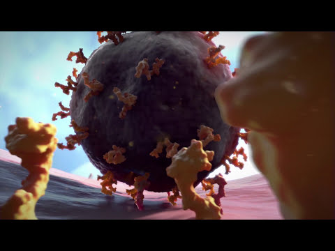 A Virus Attacks a Cell