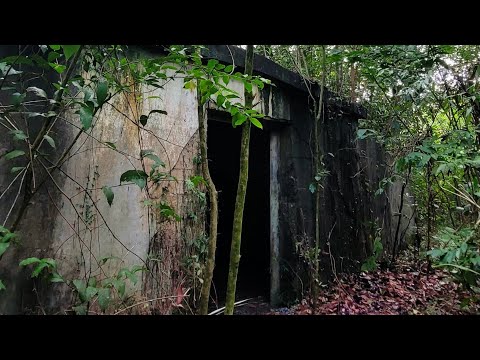 trilha do bunker - base aerea de igarape-açu 🌿🌟🙏🏼✈️