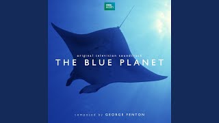 The Blue Planet