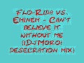 Flo-Rida vs. Eminem - Can't believe it without me ...
