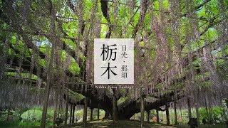 動画1