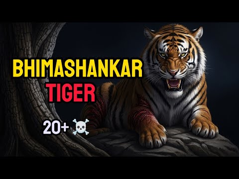 Bhimashankar Man-eater Tiger story Hindi narration. Real facts + Folk lore #huntstory