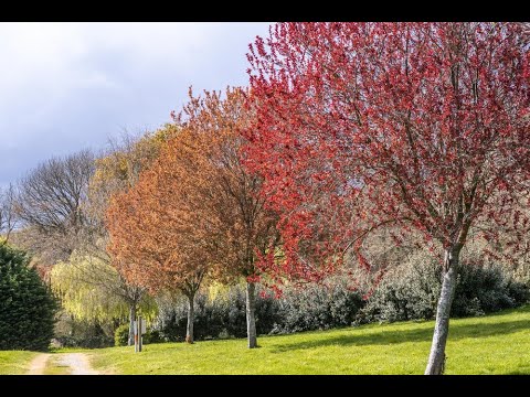 Camping De Locouarn - Camping Finistere - Image N°2