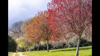 Camping De Locouarn Camping De Locouarn - Camping Finistere - Image N°2