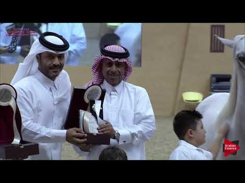 58 - AL ABJER AL SHAQAB