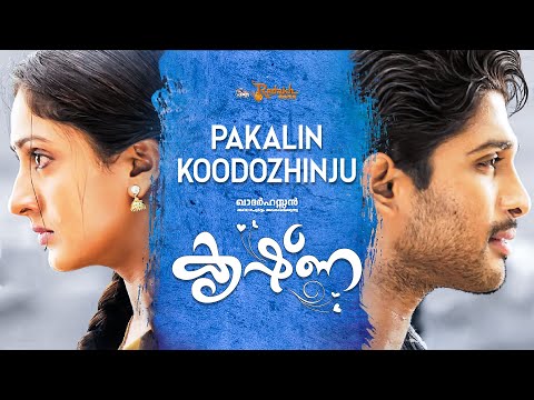 Pakalin Koodozhinju Video Song | Krishna Movie | Allu Arjun | Ajay Sathyan  | Mani Sharma