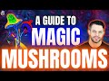 The Best Way To Use Magic Mushrooms