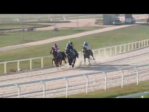 2022.11.13. 05. futam - MAKAAM HENDIKEP (II.o.) (szintetikus pálya)