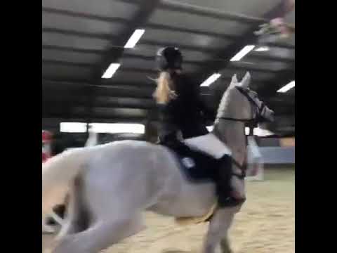 S Springen Barlo Bocholt 26.1.20