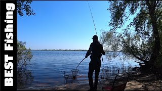Нічний лов ляща у червні: коли виходить риба та як не залишитися без трофею