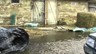 preview picture of video 'Jēkabpils novada Dunavas pagastā plūdi no ārpasaules nošķīruši 26 mājas'