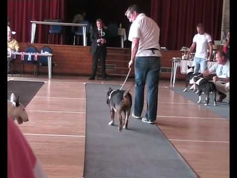 ouooy class compr.avi