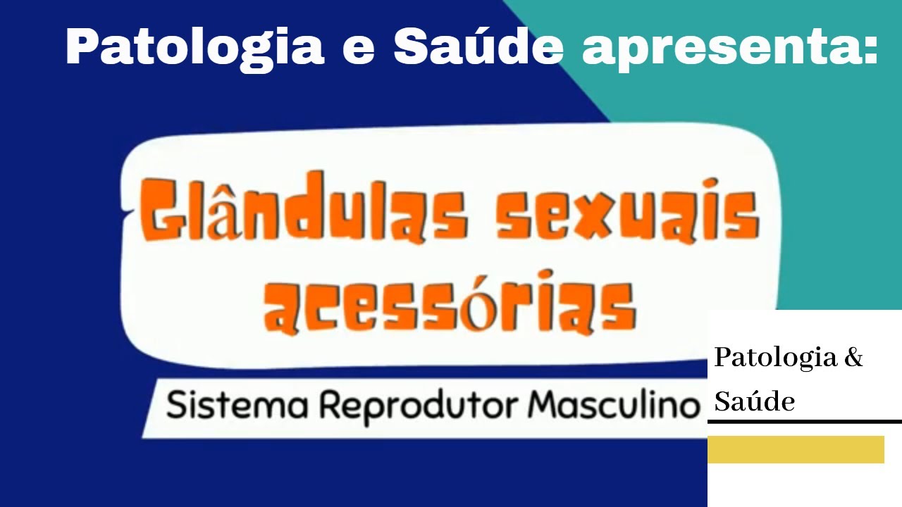 Histologia do Sistema Reprodutor Masculino: Glândulas Acessórias