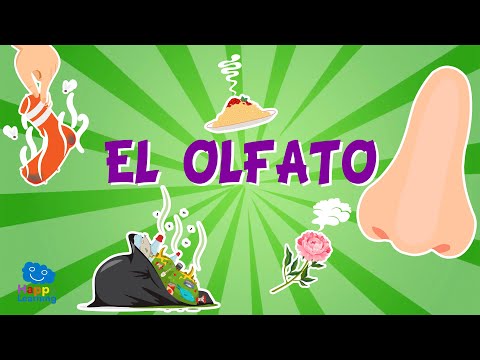 El olfato - Los sentidos para niños I Vídeos Educativos para Niños