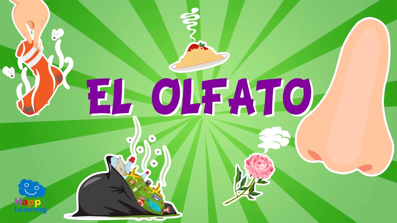 El olfato - Los sentidos para niños I Vídeos Educativos para Niños