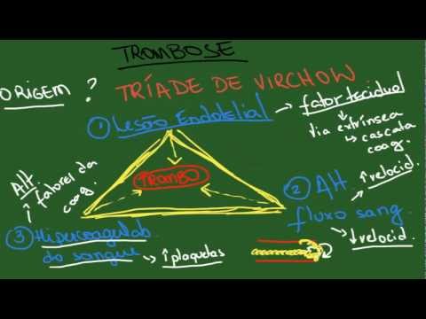 Trombose e Embolia - Resumo - Patologia Geral