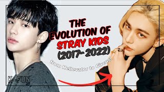 Download lagu The Evolution Of Stray Kids... mp3