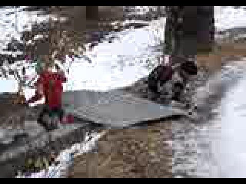 FUORI DI TESTA Robilante