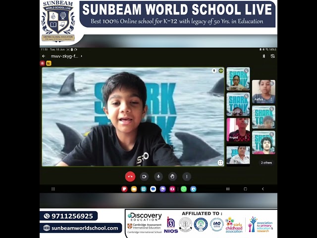 Day 8 at Sunbeam World School Summer Camp