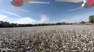 preview picture of video '40mph Drone Flight over a Cotton Field in Wetumpka, AL'