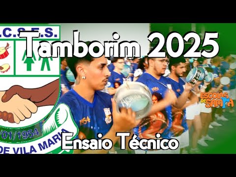 Unidos de Vila MAria 2025 - Desenho de Tamborim/Diretor Bisqui #BotaOFone #PioneiroNoVídeoDosBreques