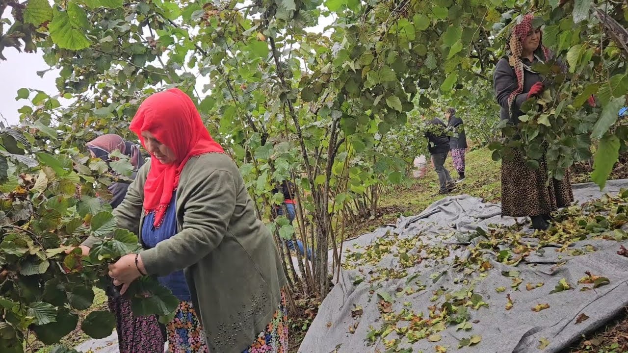 ‼️YEVMİYE PARAMLA KENDİME AYAKKABI ALACAĞIM ‼️ ÖĞLEN YEMEĞİNDE TOPLANDIK‼️