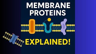 From Channels to Carriers — Membrane Proteins. membrane proteins, integral membrane proteins.