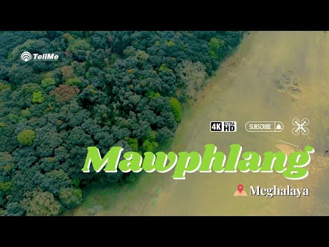 Explore the charm of Mawphlang I Meghalaya.