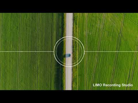 Sir Cubworth - Hitchcockian