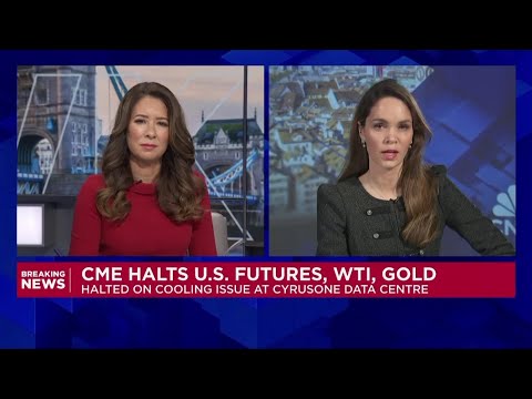 CME halts futures trading after data center issue