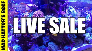 🔴 Mad Hatter's Reef Live Sale
