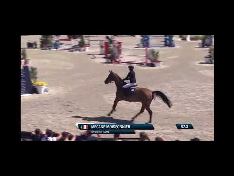 Crooner Tame - Deauville août 2024