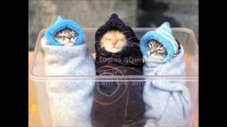 Sanctus Real - Things like you (legendado em português)