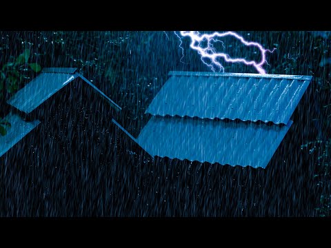 🔴 Autumn Rain in a Cozy Forest | Relaxing Rain Sounds for Sleep, Study & Calm