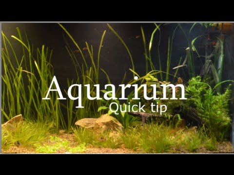 Aquarium Quick tip #81