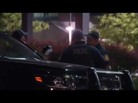 NJ Trenton Arts Festival