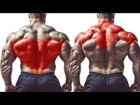 6 Exercises to Build Bigger Back | FULL BACK WORKOUT