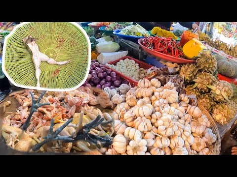 The evening and morning street food in the market looks absolutely amazing.