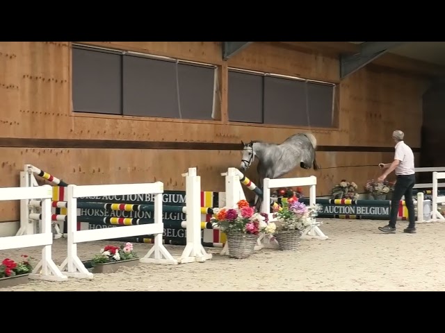 Jumping