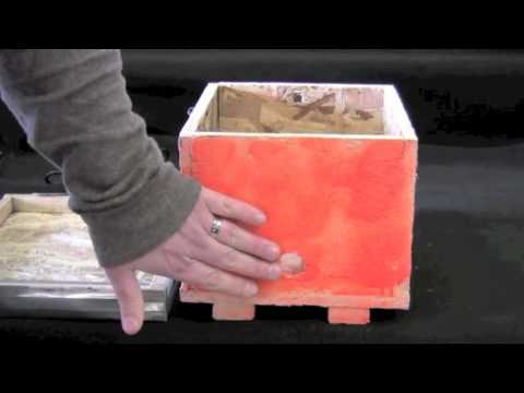 A Guide to Bumble Bee Rearing