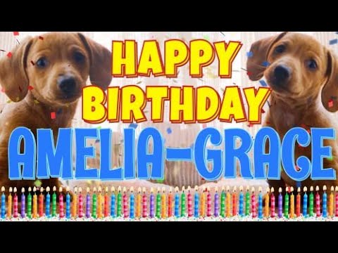 Happy Birthday Amelia-Grace! ( Funny Talking Dogs ) What Is Free On My Birthday