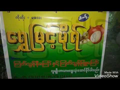 FAMÍLIA SHWE MYINT MO