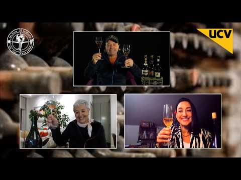 Los Vinos Cardinales capítulo 13