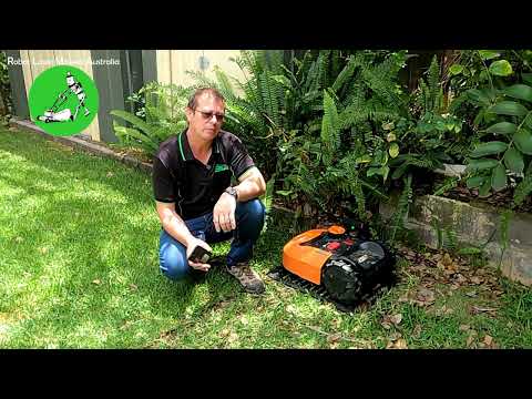 Robot Lawn Mowers Australia - Worx Landroid Why I Still Have this Robot Mower