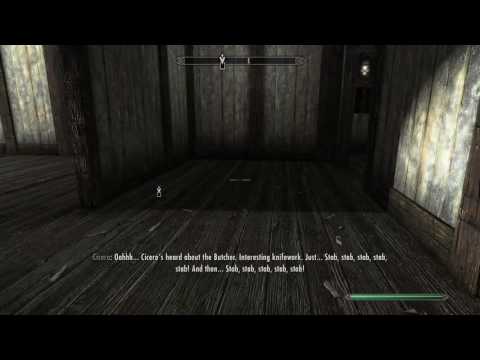 Skyrim Cicero Is Stupid