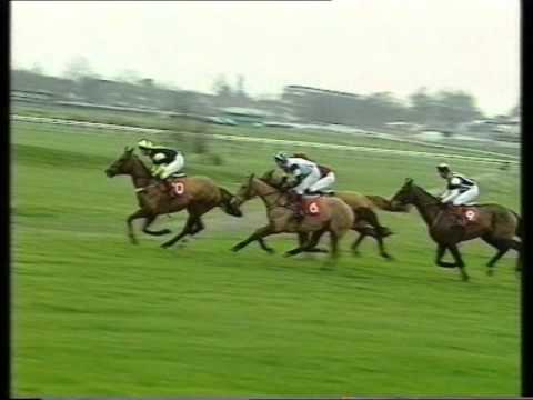 1993 Scilly Isles Novices' Chase