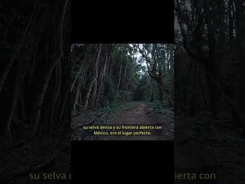 El Infierno en Petén:  la masacre que aterrorizó Guatemala.